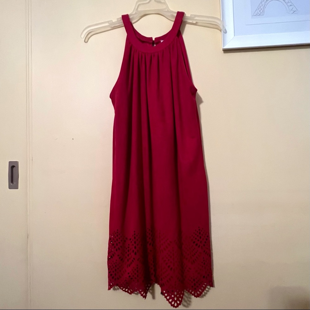 Francesca’s Alta Red Suede-like Dress